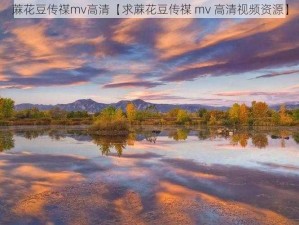 蔴花豆传禖mv高清【求蔴花豆传禖 mv 高清视频资源】