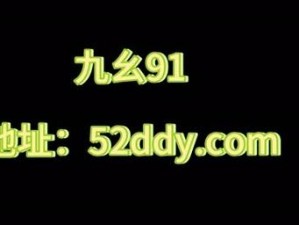 2024 年九幺 91 旧版安装指南：一键安装，畅享旧版应用