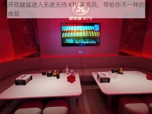 扒开双腿猛进入无遮无挡 KTV 麦克风，带给你不一样的音乐体验