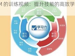 DOM 的训练视频：提升技能的高效学习资源