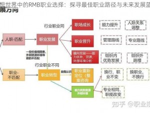 梦想世界中的RMB职业选择：探寻最佳职业路径与未来发展蓝图