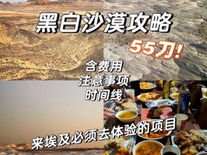 揭秘黑色沙漠：新人攻略，如何挑选装备——宝石孔决定胜负