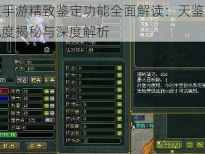 问道手游精致鉴定功能全面解读：天鉴神兵完成度揭秘与深度解析