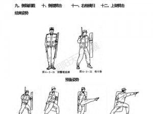 护盾招式深度解析：对战PK中的实战作用与效果探讨