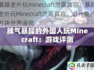 暴躁老外玩minecraft泄露真容、暴躁老外玩Minecraft泄露真容，老外竟被方块世界逼疯