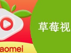 草莓视频app18禁下载安装、草莓视频 app18 禁下载安装，激情无限