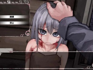 薇尔希 70 魔改冷狐版：一款具有创新性的互动视觉小说游戏