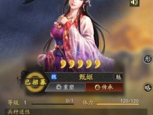 三国志战略版：貂蝉甄姬的战术价值解析