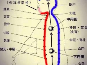 经脉108周天属性效果全面解析与一览表：揭示全方位属性加成与特效展示