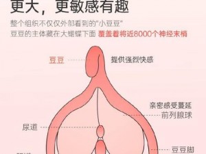 巨茎大战留守妇女成人情趣用品，让你体验前所未有的快感