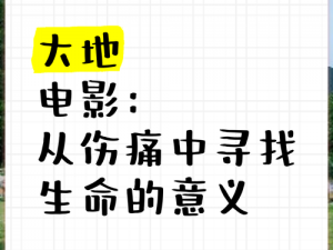 大地影视资源中文第三页怎么了_大地影视资源中文第三页为何无法访问？