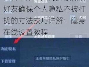 王者荣耀中如何屏蔽微信好友确保个人隐私不被打扰的方法技巧详解：隐身在线设置教程