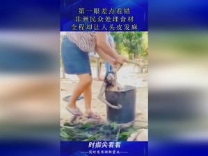 911八卦有理爆料无罪反差婊-911 八卦有理爆料无罪，反差婊竟是她？