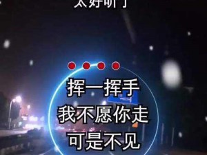 抖音热曲：你不是最美我却痴痴迷醉，旋律中的情感魔力揭秘