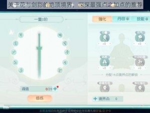 关于花与剑影的绝顶境界，深探最强点之加点的推荐