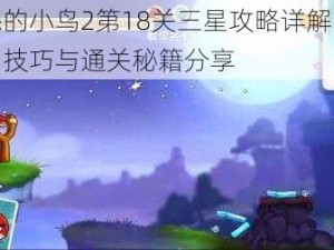 愤怒的小鸟2第18关三星攻略详解：策略、技巧与通关秘籍分享