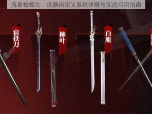 流星蝴蝶剑：武器自定义系统详解与实战应用指南