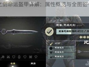 无尽之剑命运盔甲详解：属性概览与全图鉴一览指南