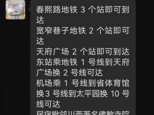 有钱无钱皆宜的回家过年攻略大全：实现幸福温馨之旅的指南