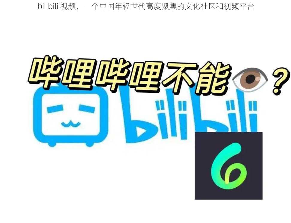 bilibili 视频，一个中国年轻世代高度聚集的文化社区和视频平台