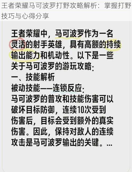 王者荣耀马可波罗打野攻略解析：掌握打野技巧与心得分享