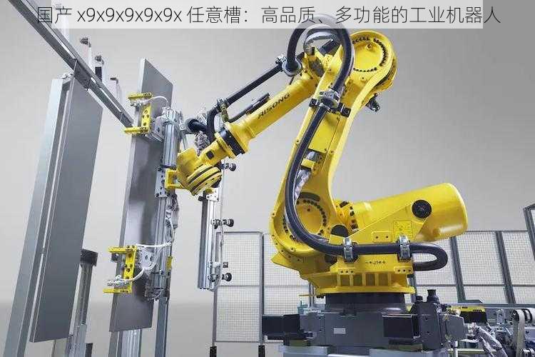 国产 x9x9x9x9x9x 任意槽：高品质、多功能的工业机器人