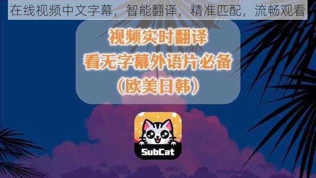 在线视频中文字幕，智能翻译，精准匹配，流畅观看