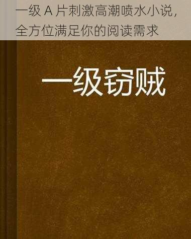 一级 A 片刺激高潮喷水小说，全方位满足你的阅读需求