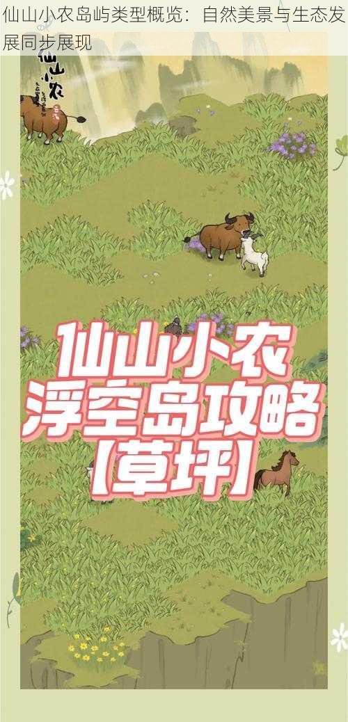 仙山小农岛屿类型概览：自然美景与生态发展同步展现