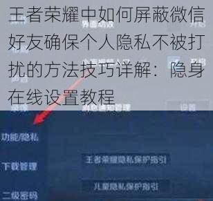 王者荣耀中如何屏蔽微信好友确保个人隐私不被打扰的方法技巧详解：隐身在线设置教程