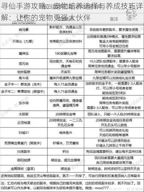 寻仙手游攻略：宠物培养选择与养成技巧详解：让你的宠物更强大伙伴