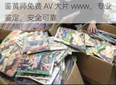 鉴黄师免费 AV 大片 www，专业鉴定，安全可靠