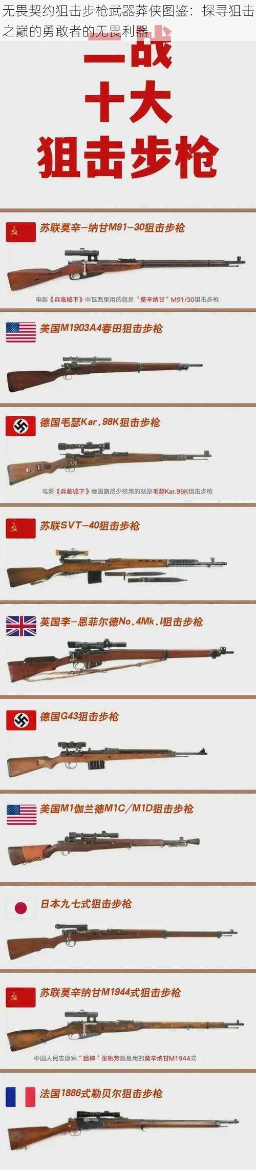 无畏契约狙击步枪武器莽侠图鉴：探寻狙击之巅的勇敢者的无畏利器