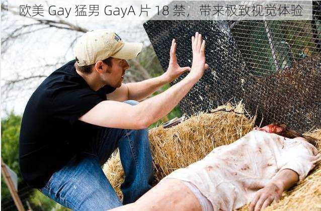 欧美 Gay 猛男 GayA 片 18 禁，带来极致视觉体验