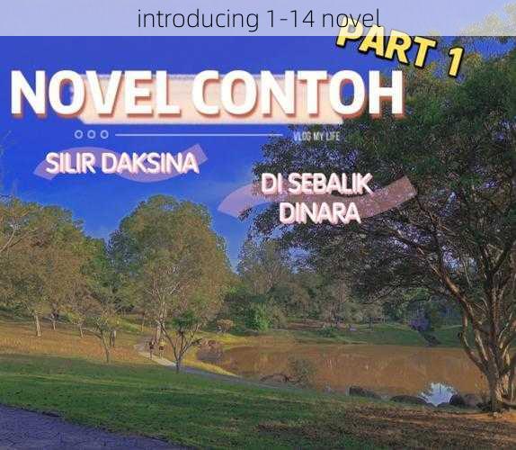 introducing 1-14 novel