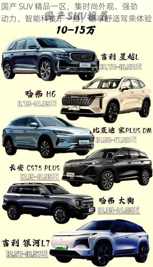 国产 SUV 精品一区，集时尚外观、强劲动力、智能科技于一身，畅享舒适驾乘体验