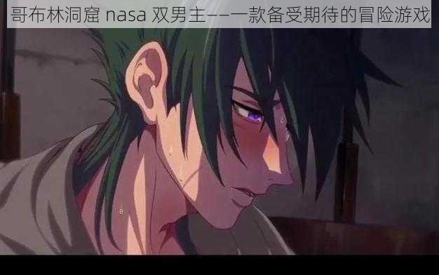 哥布林洞窟 nasa 双男主——一款备受期待的冒险游戏