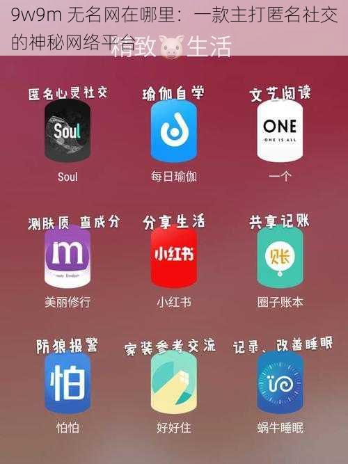 9w9m 无名网在哪里：一款主打匿名社交的神秘网络平台