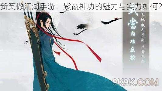 新笑傲江湖手游：紫霞神功的魅力与实力如何？