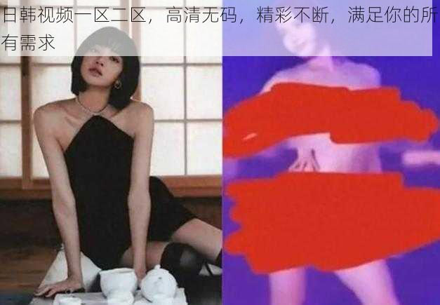 日韩视频一区二区，高清无码，精彩不断，满足你的所有需求