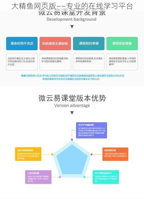 大精鱼网页版——专业的在线学习平台