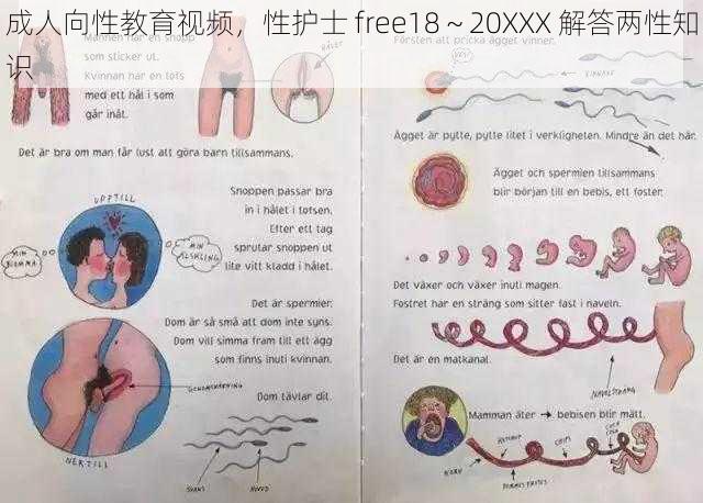 成人向性教育视频，性护士 free18～20XXX 解答两性知识