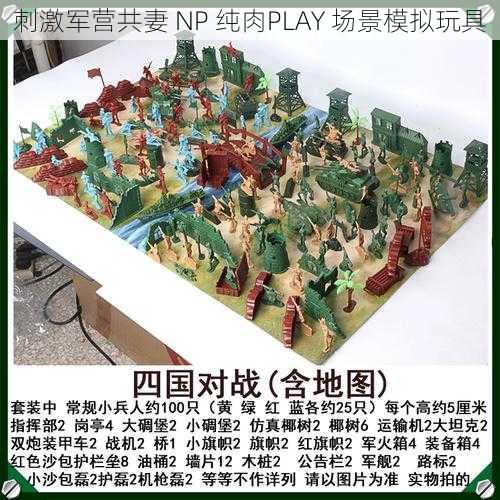 刺激军营共妻 NP 纯肉PLAY 场景模拟玩具