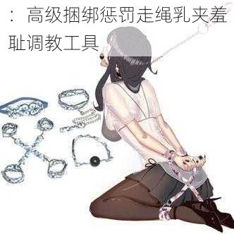 ：高级捆绑惩罚走绳乳夹羞耻调教工具