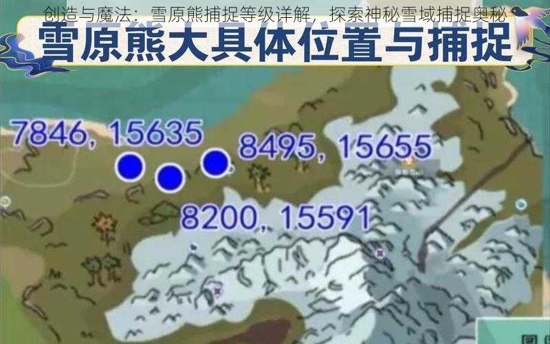 创造与魔法：雪原熊捕捉等级详解，探索神秘雪域捕捉奥秘