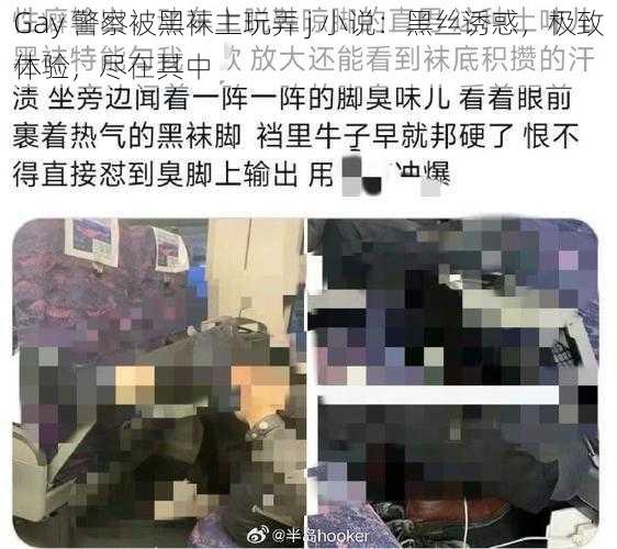 Gay 警察被黑袜主玩弄 j 小说：黑丝诱惑，极致体验，尽在其中