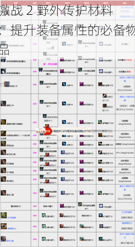 激战 2 野外传护材料：提升装备属性的必备物品