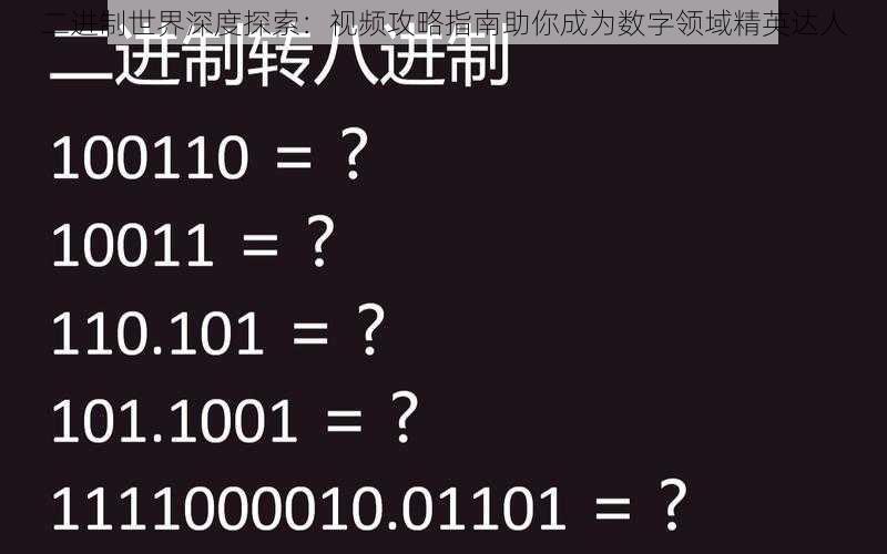 二进制世界深度探索：视频攻略指南助你成为数字领域精英达人