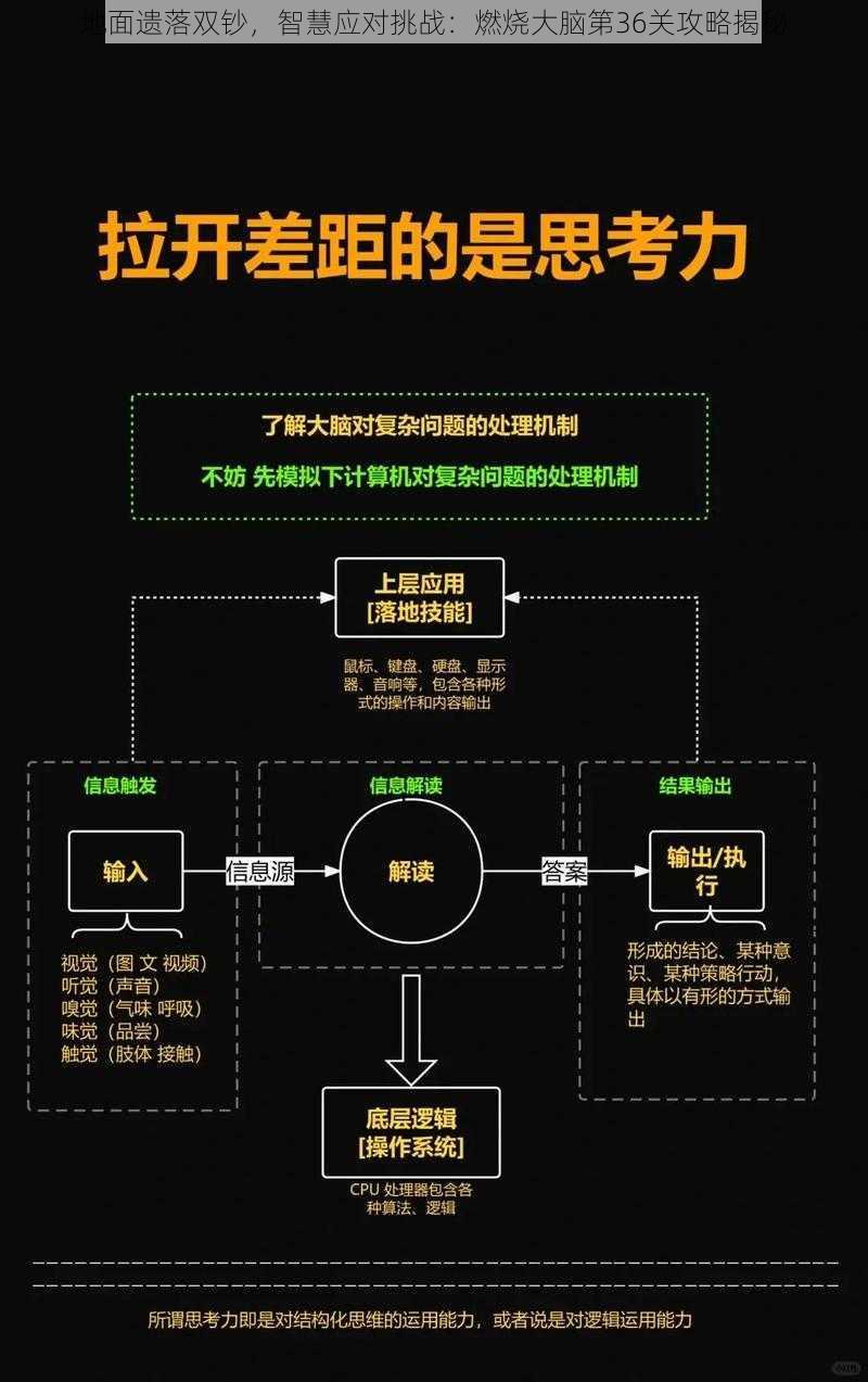 地面遗落双钞，智慧应对挑战：燃烧大脑第36关攻略揭秘