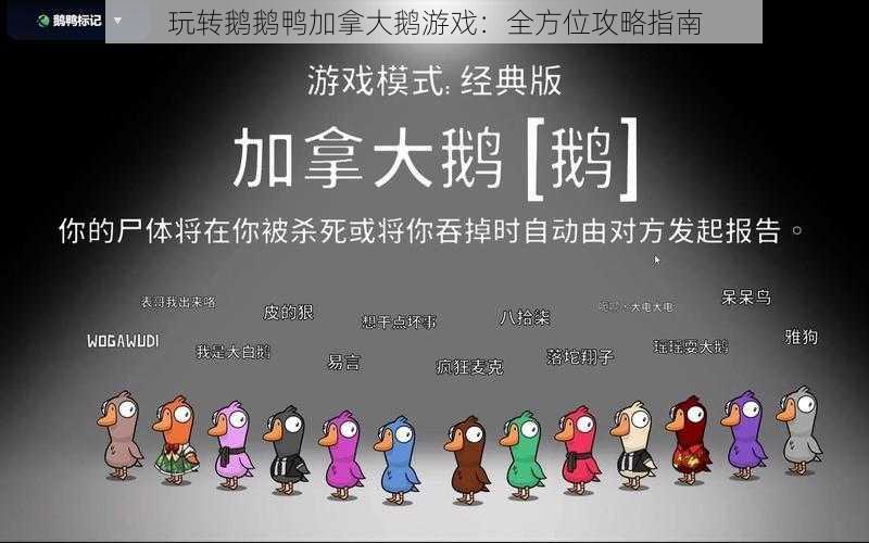 玩转鹅鹅鸭加拿大鹅游戏：全方位攻略指南